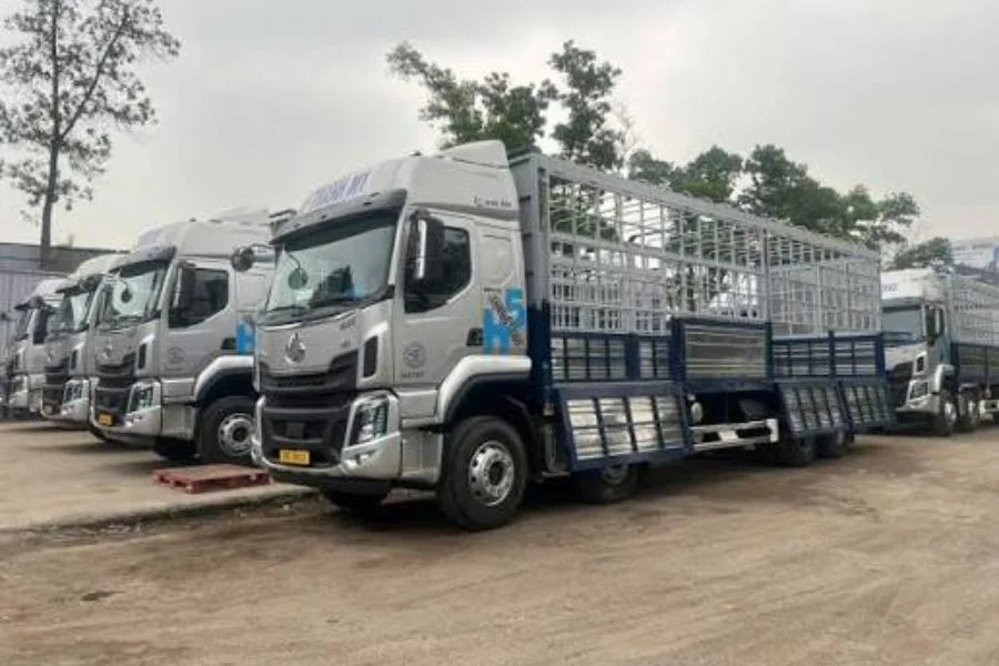 Vì sao nên chọn chành xe 247 gửi hàng đi đà nẵng